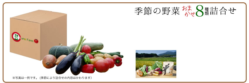 野菜詰め合わせ