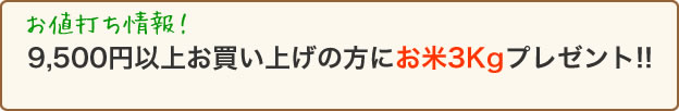 おまかせ 8種類詰め合わせ例 おまかせ 8種類詰め合わせ例