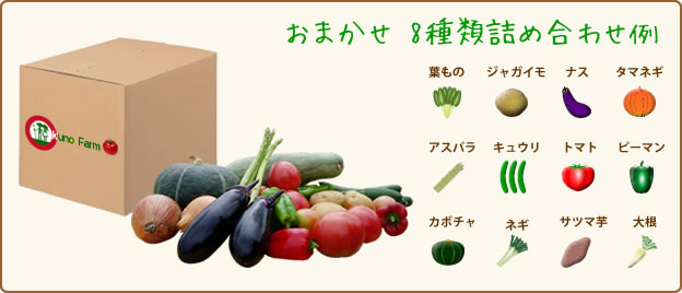 おまかせ 8種類詰め合わせ例 おまかせ 8種類詰め合わせ例