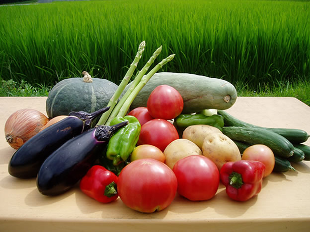 野菜のおまかせ 8種類詰め合わせセット